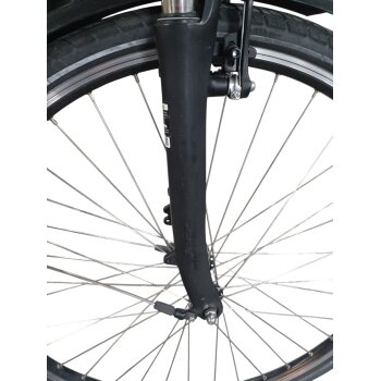 Colorado Bull City E-Bike »Black Dames«  28 Zoll - B-Ware Transportschaden