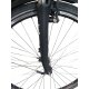 Colorado Bull City E-Bike »Black Dames«  28 Zoll - B-Ware Transportschaden