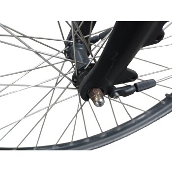 Colorado Bull City E-Bike »Black Dames«  28 Zoll - B-Ware Transportschaden