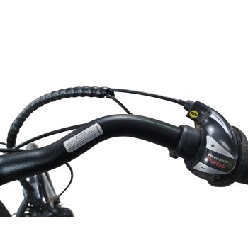 Colorado Bull City E-Bike »Black Dames«  28 Zoll - B-Ware Transportschaden