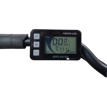 Colorado Bull City E-Bike »Black Dames«  28 Zoll - B-Ware Transportschaden