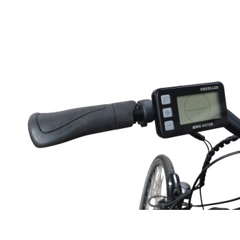 Colorado Bull City E-Bike »Black Dames«  28 Zoll - B-Ware Transportschaden