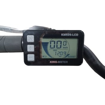 Colorado Bull City E-Bike »Black Dames«  28 Zoll - B-Ware Transportschaden