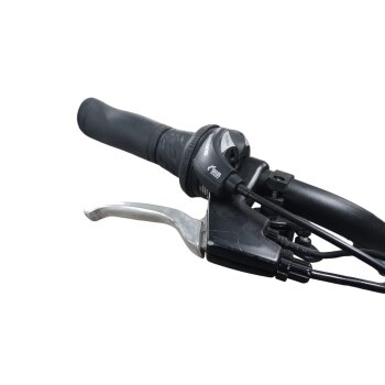 Colorado Bull City E-Bike »Black Dames«  28 Zoll - B-Ware Transportschaden