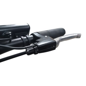 Colorado Bull City E-Bike »Black Dames«  28 Zoll - B-Ware Transportschaden