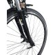 Colorado Bull City E-Bike »Black Dames«  28 Zoll - B-Ware Transportschaden