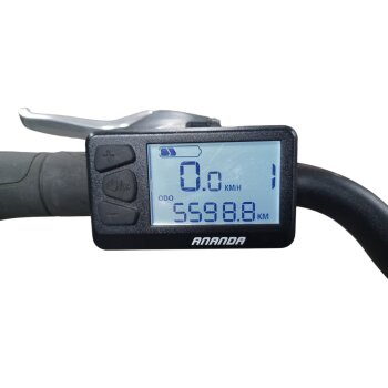 Colorado E-Bike Cityrad, 28 Zoll - B-Ware Transportschaden