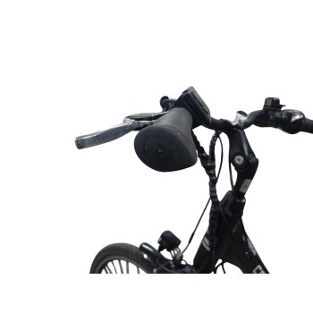Colorado E-Bike Cityrad, 28 Zoll - B-Ware Transportschaden