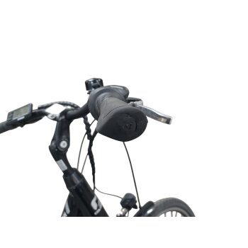 Colorado E-Bike Cityrad, 28 Zoll - B-Ware Transportschaden