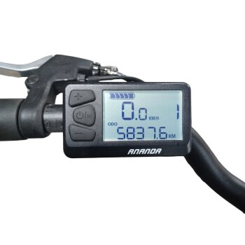 Colorado E-Bike Cityrad, 28 Zoll - B-Ware Transportschaden