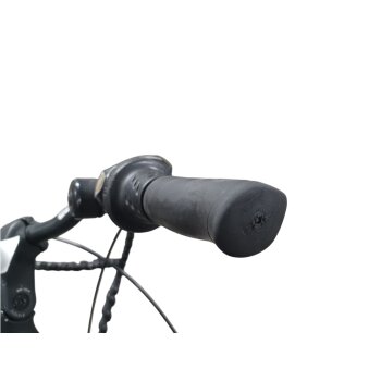 Colorado E-Bike Cityrad, 28 Zoll - B-Ware Transportschaden