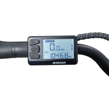 Colorado E-Bike Cityrad, 28 Zoll - B-Ware Transportschaden