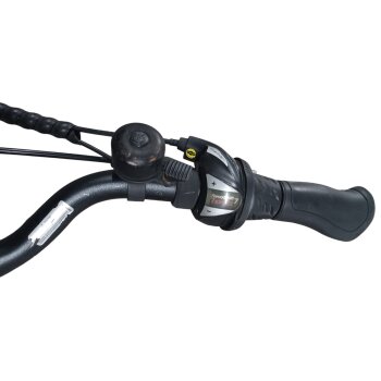 Colorado E-Bike Cityrad, 28 Zoll - B-Ware Transportschaden