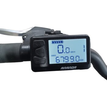 Colorado E-Bike Cityrad, 28 Zoll - B-Ware Transportschaden