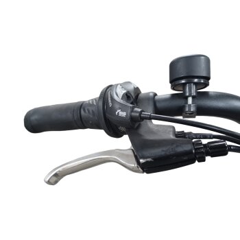 Colorado E-Bike Cityrad, 28 Zoll - B-Ware Transportschaden