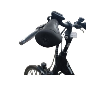 Colorado E-Bike Cityrad, 28 Zoll - B-Ware Transportschaden