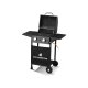 GRILLMEISTER Gasgrill Memphis, 2 Brenner, 6 kW - B-Ware neuwertig