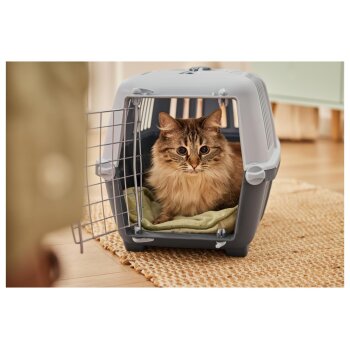 zoofari® Katzentoilette/-transportbox - B-Ware