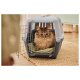 ZOOFARI® Katzentoilette/-transportbox - B-Ware
