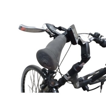 Colorado Bull City E-Bike »Black Dames«  28 Zoll - B-Ware Transportschaden