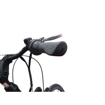 Colorado Bull City E-Bike »Black Dames«  28 Zoll - B-Ware Transportschaden