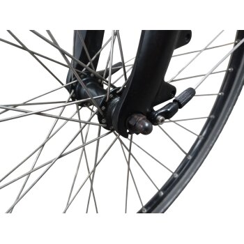 Colorado Bull City E-Bike »Black Dames«  28 Zoll - B-Ware Transportschaden