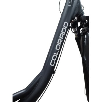 Colorado Bull City E-Bike »Black Dames«  28 Zoll - B-Ware Transportschaden