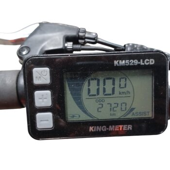 Colorado Bull City E-Bike »Black Dames«  28 Zoll - B-Ware Transportschaden