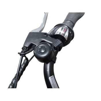 Colorado Bull City E-Bike »Black Dames«  28 Zoll - B-Ware Transportschaden