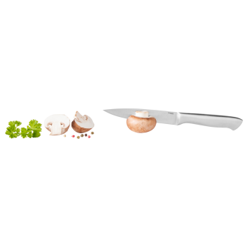 SILVERCREST® Küchenmesser Edelstahl-Griff - B-Ware