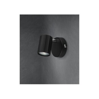 LIVARNO home Wand-/Deckenleuchte, neig- und schwenkbarer Spot - B-Ware