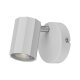 LIVARNO home Wand-/Deckenleuchte, neig- und schwenkbarer Spot - B-Ware