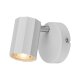 LIVARNO home Wand-/Deckenleuchte, neig- und schwenkbarer Spot - B-Ware