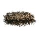 LIVARNO home LED-Galaxielichterkette / LED-Lichterkette (Galaxie-Lichterkette) - B-Ware sehr gut