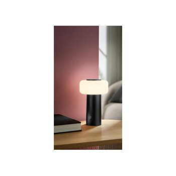 LIVARNO home LED-Akku-Tischleuchte (Anthrazit) - B-Ware neuwertig
