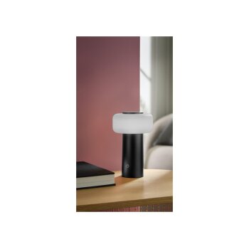 LIVARNO home LED-Akku-Tischleuchte (Anthrazit) - B-Ware neuwertig