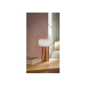 LIVARNO home LED-Akku-Tischleuchte (Bronze) - B-Ware sehr gut
