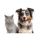 ZOOFARI® Tierhaarschneider »ZTSD 36 C3«, 6-teilig - B-Ware neuwertig