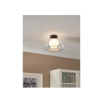 LIVARNO home LED-Wand- und Deckenleuchte, Lampenschirm aus hochwertigem Glas (Transparent) - B-Ware neuwertig