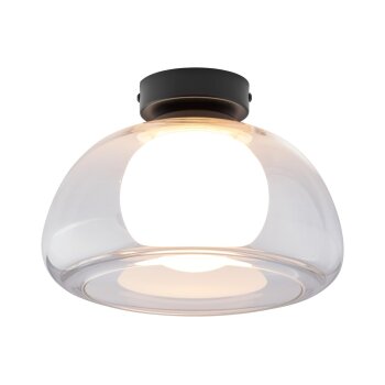 LIVARNO home LED-Wand- und Deckenleuchte, Lampenschirm aus hochwertigem Glas (Transparent) - B-Ware neuwertig