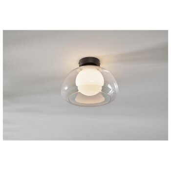 LIVARNO home LED-Wand- und Deckenleuchte, Lampenschirm aus hochwertigem Glas (Transparent) - B-Ware neuwertig