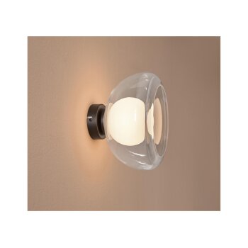 LIVARNO home LED-Wand- und Deckenleuchte, Lampenschirm aus hochwertigem Glas (Transparent) - B-Ware neuwertig