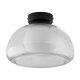 LIVARNO home LED-Wand- und Deckenleuchte, Lampenschirm aus hochwertigem Glas (Transparent) - B-Ware neuwertig