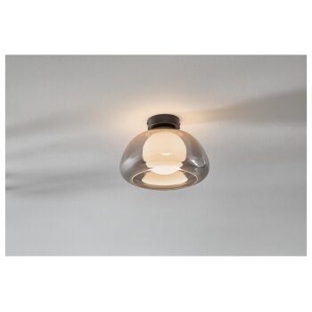 LIVARNO home LED-Wand- und Deckenleuchte, Lampenschirm aus hochwertigem Glas (Grauglas) - B-Ware sehr gut