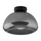 LIVARNO home LED-Wand- und Deckenleuchte, Lampenschirm aus hochwertigem Glas (Grauglas) - B-Ware sehr gut