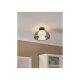 LIVARNO home LED-Wand- und Deckenleuchte, Lampenschirm aus hochwertigem Glas (Grauglas) - B-Ware sehr gut