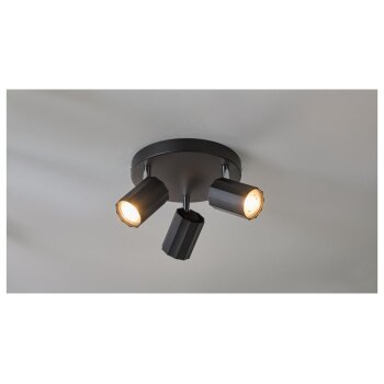 LIVARNO home Deckenstrahler / Schienenleuchte, mit 3 neig- und schwenkbaren Spots - B-Ware