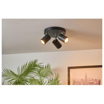 LIVARNO home Deckenstrahler / Schienenleuchte, mit 3 neig- und schwenkbaren Spots - B-Ware