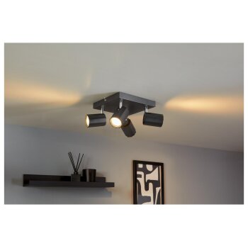 LIVARNO home Deckenschienenleuchte / Deckenstrahler, mit 4 neig- und schwenkbaren Spots - B-Ware