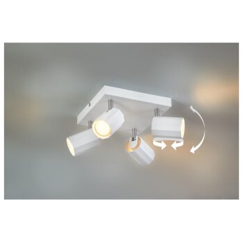 LIVARNO home Deckenschienenleuchte / Deckenstrahler, mit 4 neig- und schwenkbaren Spots - B-Ware